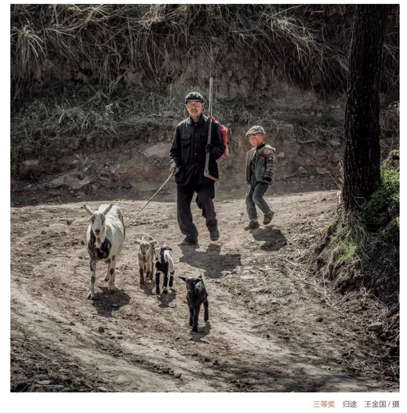 1603781795470439.jpg 6.jpg