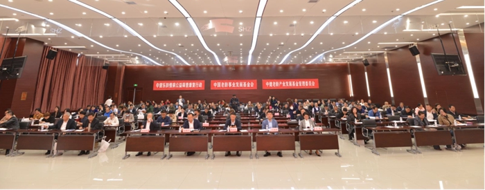 1698305985798692.jpg 640.jpg